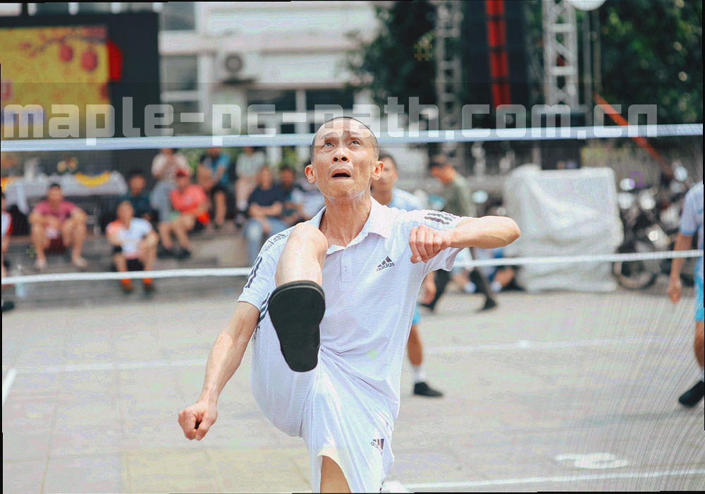 固件版本面板界面示意，包含版本号、更新时间与开关项